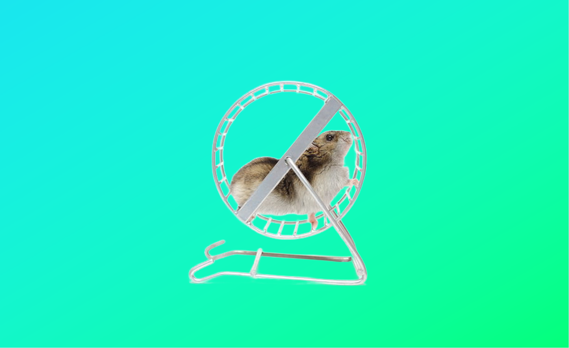 Hamster im Laufrad